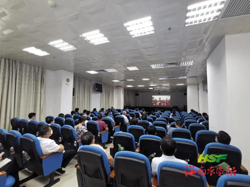 菏泽双线展会直播联动拍摄案例-摄行直播